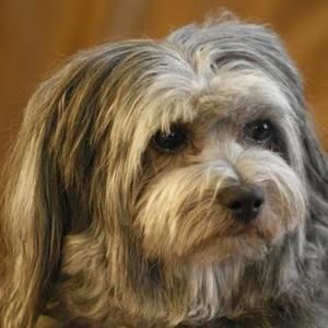 Meet your Posher, Alex